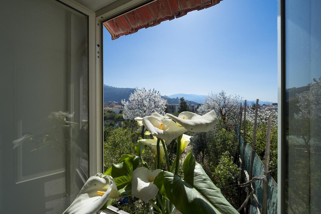 Casa Lina Villa Sant'Angelo  Exterior photo